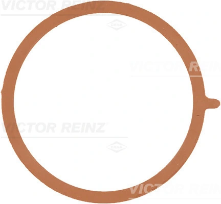 Gasket, intake manifold